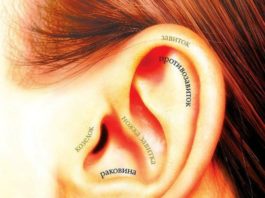 Массируем ухо — оздоравливаем весь организм